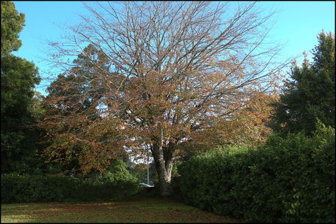 Nyima Tashi Buddhist Centre - Tourism Bookings NZ 2