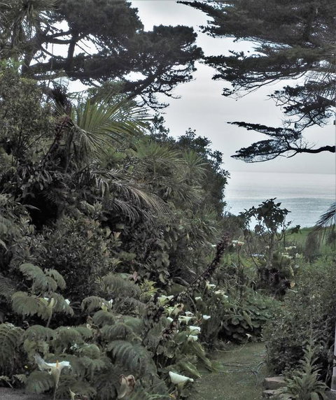 Omau Retreat - Tourism Bookings NZ 3