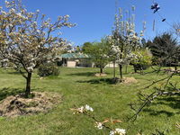 Orchard View FarmStay Suite