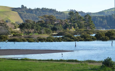 Oystercatcher Bay Boathouse - Tourism Bookings NZ 1