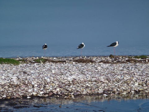 Oystercatcher Bay Boathouse - Tourism Bookings NZ 3