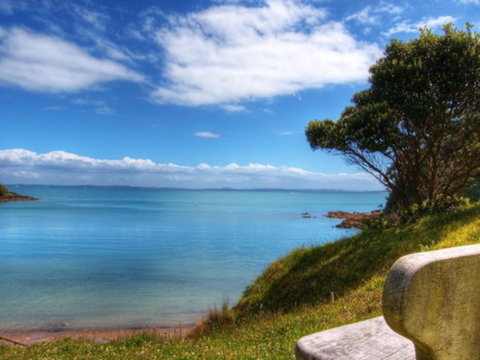 Palm Beach Bungalows - Tourism Bookings NZ 1