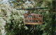 Palm Beach Bungalows - thumb 0
