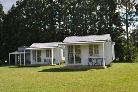 Palm Drive 'Cozy Cabins' - Tourism Bookings NZ 0