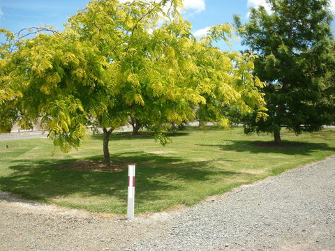 Paparoa Motor Camp - Tourism Bookings NZ 1