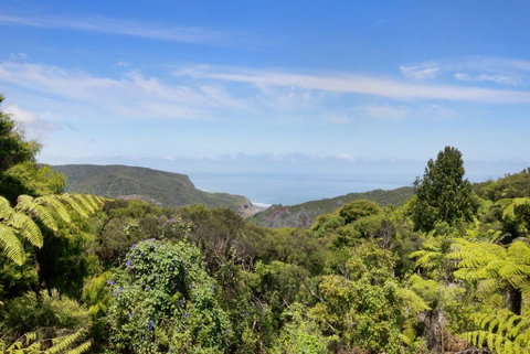 Piha - City Escape, Piha Holiday Home - Tourism Bookings NZ 3
