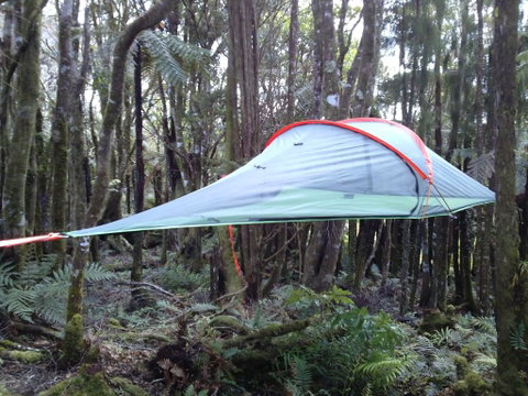 Pupu Rangi Nature Sanctuary - Tourism Bookings NZ 0