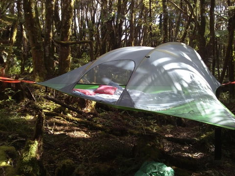 Pupu Rangi Nature Sanctuary - Tourism Bookings NZ 2