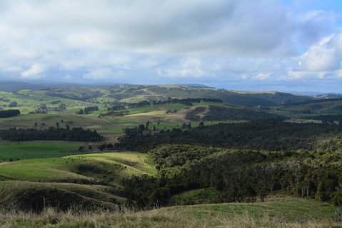 Pupu Rangi Nature Sanctuary - Tourism Bookings NZ 3