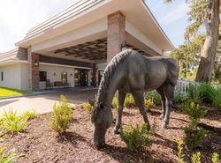 Equus Inn I75