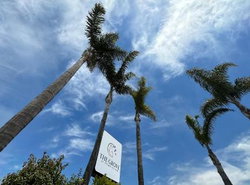 The Grove at Pismo Beach