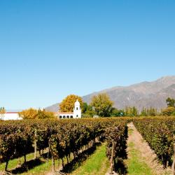 Cafayate Students Accommodation