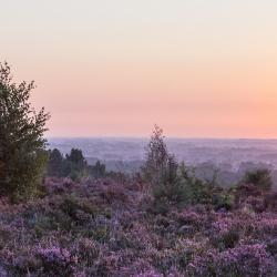 De Kempen USA Accommodation