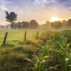 East-Flanders USA Accommodation