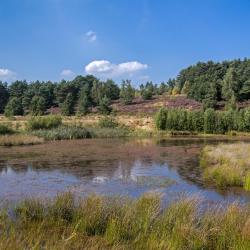 Hoge Kempen USA Accommodation