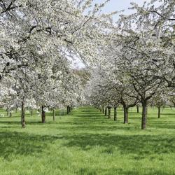 Limburg USA Accommodation