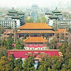 Beijing Area Tourism Bookings