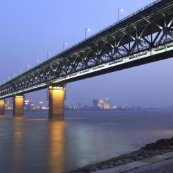 Hubei Tourism Bookings