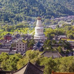 Shanxi Tourism Bookings