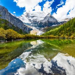 Sichuan Tourism Bookings