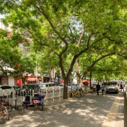 Yabao Road, Beijing Tourism Bookings