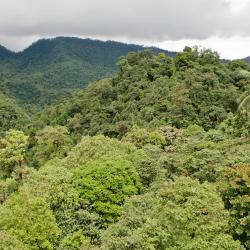 Mindo USA Accommodation