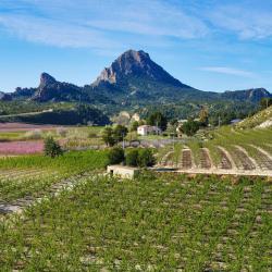 Murcia China Accommodation