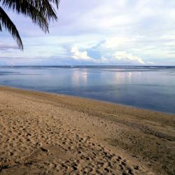 Coral Coast Tourism Bookings