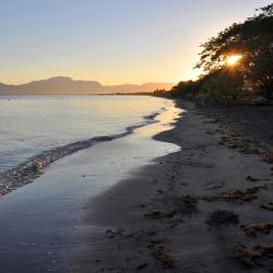 Denarau Tourism Bookings