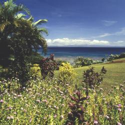 Taveuni Tourism Bookings