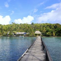 Viti Levu Tourism Bookings