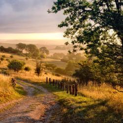 Hertfordshire USA Accommodation