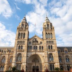 Natural History Museum, London USA Accommodation
