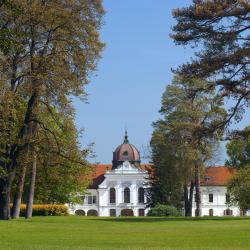 Pest USA Accommodation