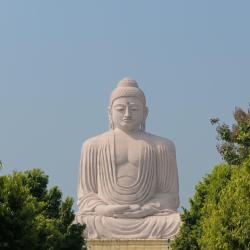 Bihar USA Accommodation