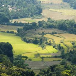 Coorg USA Accommodation