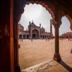 Delhi NCR USA Accommodation