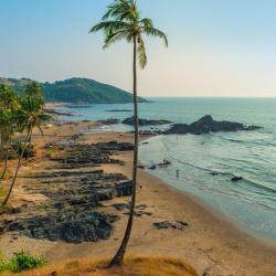 North Goa USA Accommodation