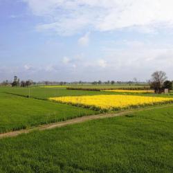 Punjab USA Accommodation