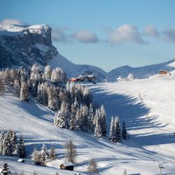 Alta Badia USA Accommodation