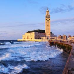 Casablanca USA Accommodation