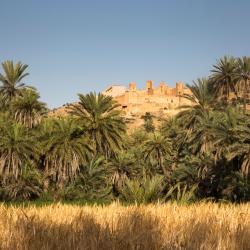 Guelmim USA Accommodation