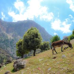 Ifrane USA Accommodation