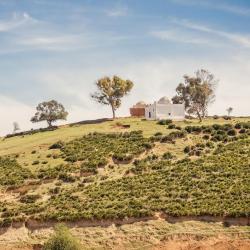 Rabat USA Accommodation