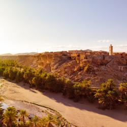 Tata USA Accommodation