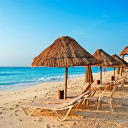 Caribbean Islands Tourism Bookings