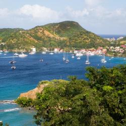 Fort-de-France Tourism Bookings