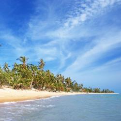 Koh Samui Tourism Bookings