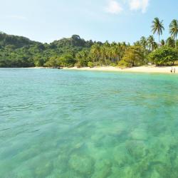 Trang Province Tourism Bookings