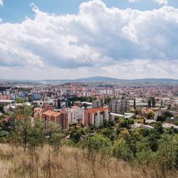 Mitrovica County Tourism Bookings